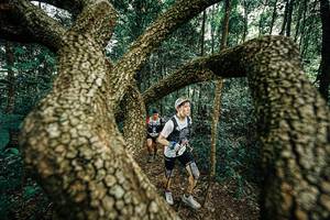 BIB: 
                            <button type="button" onclick="openModal(25393149)" class="btn btn-primary btn-sm float-right btn-popup" data-toggle="modal" data-target=".modal-high-quality">
                        <i class="fas fa-shopping-cart"></i> Add to Cart
                    </button>
                                            <button type="button" onclick="isThisMe(25393149, true)" class="btn btn-success btn-sm float-right btn-popup btn-isme hidden" data-toggle="tooltip" data-placement="bottom" title="นี่คือรูปของคุณใช่ไหม คลิกที่นี่เพื่อเอาเข้าอัลบั้ม">
                        <i class="fas fa-plus"></i> Add to album
                    </button>
                    <button type="button" onclick="isThisMe(25393149, false)" class="btn btn-warning btn-sm float-right btn-popup btn-isnotme hidden">
                        <i class="fas fa-ban"></i> Remove from album
                    </button>